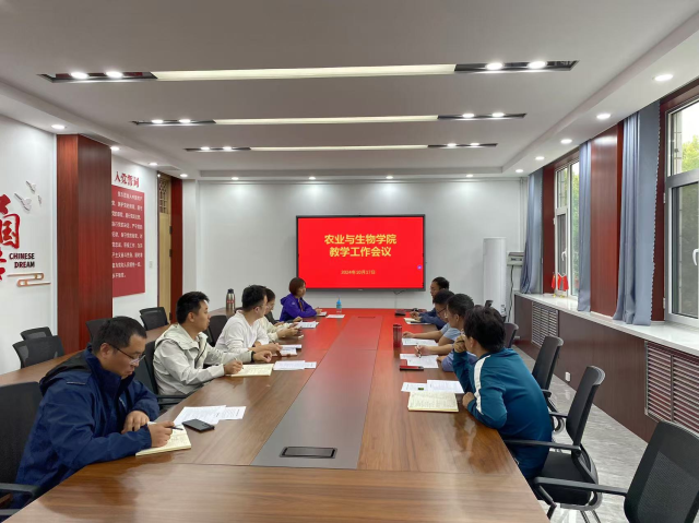 20241031173033387999103466.png 图片3.png