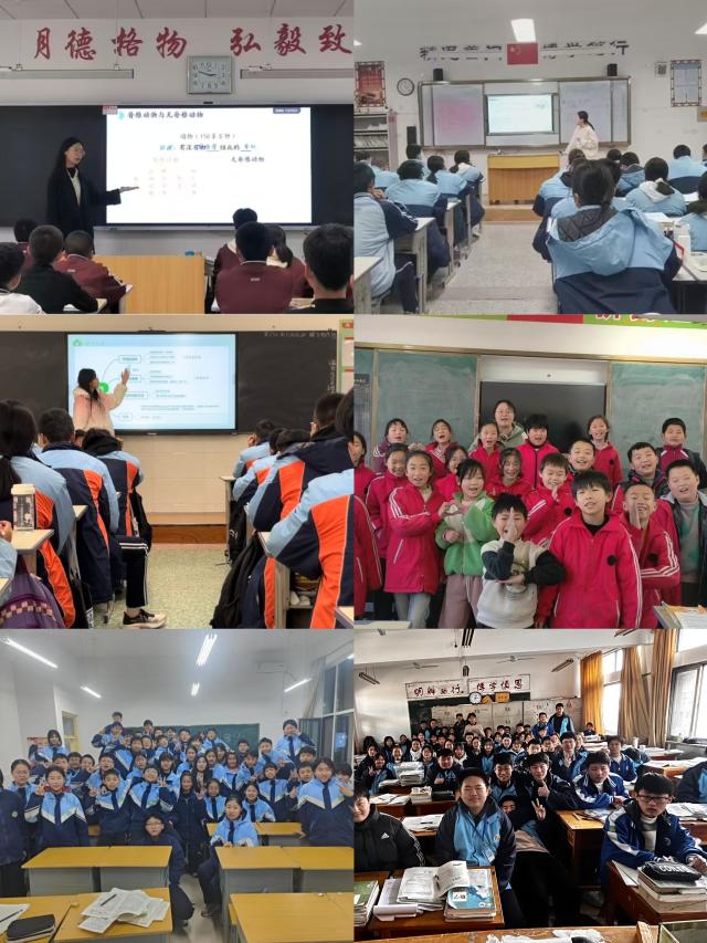 20250310174157767661608106.jpg 04.jpg