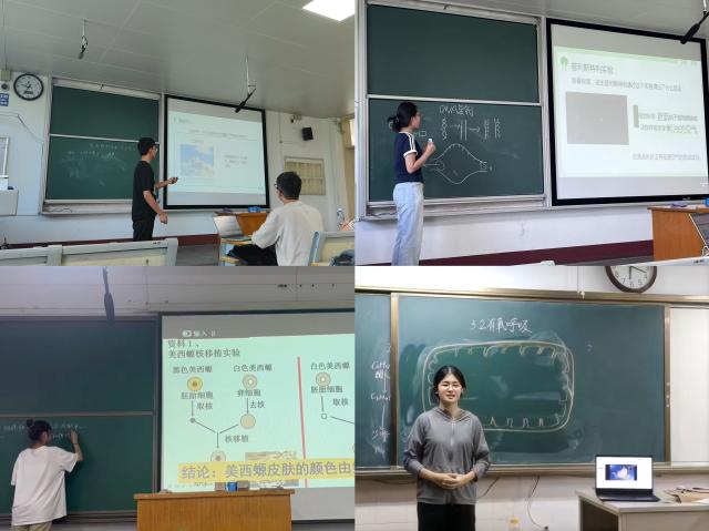 20250310174157793982207178.jpg 01.jpg