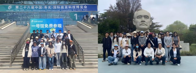 20250519174761623272702146.png WPS拼图0.png