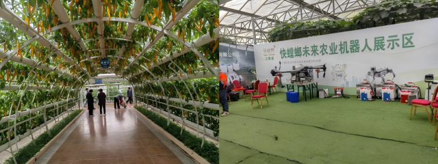 20250519174761623997901389.png WPS拼图1.png