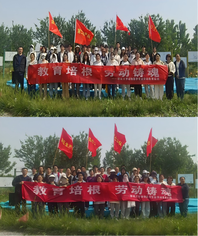 20250521174781981353809473.png WPS拼图0(1).png