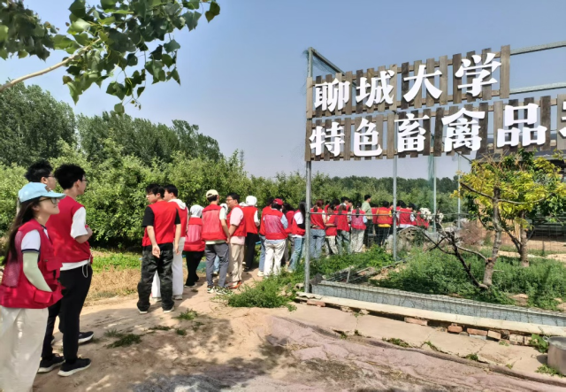 20250521174781991057400443.png 图片5.png