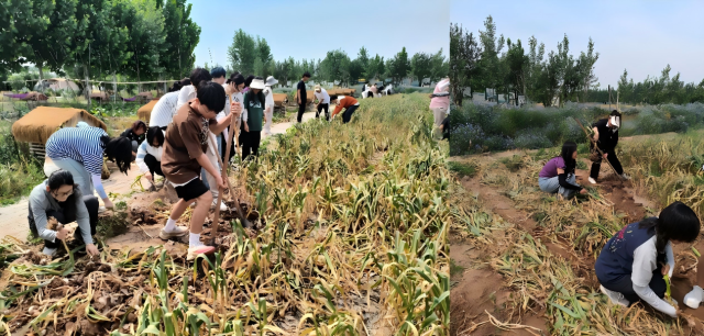 20250528174842539022901993.png WPS拼图0.png