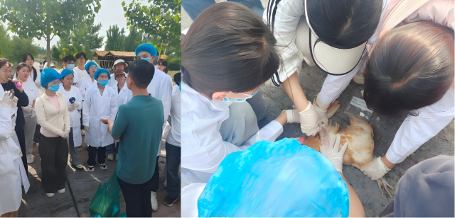 20250528174842550560706536.png WPS拼图1.png