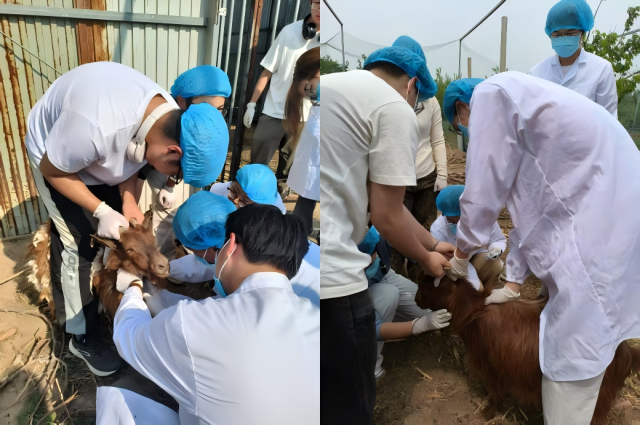 20250528174842563772701856.png WPS拼图2.png