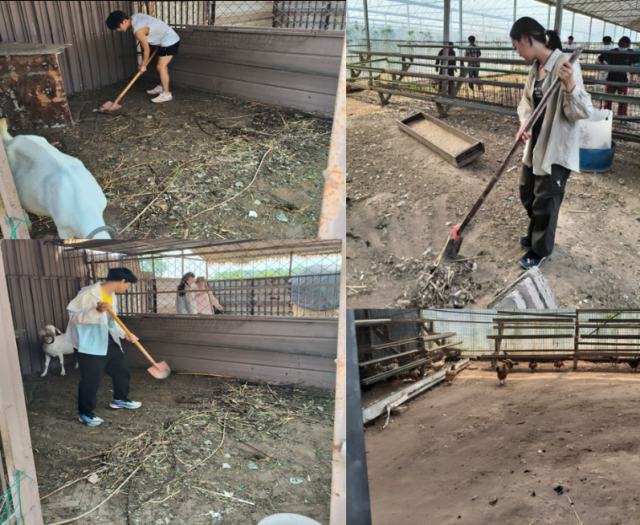 20250611174961179378508032.png 图片2.png