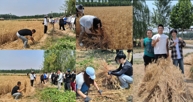 20250611174961195532101421.png 图片1(1).png