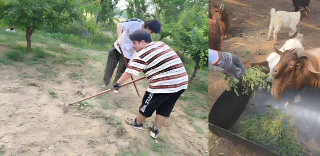 20250611174961369983205430.png WPS拼图0.png