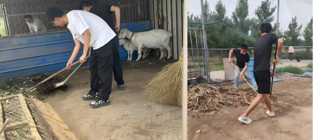 20250611174961375212400469.png WPS拼图0.png