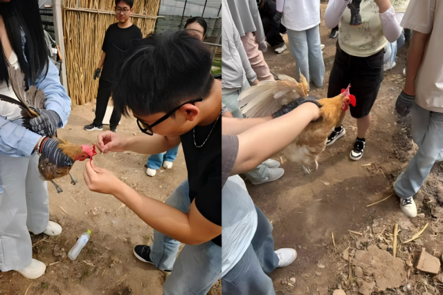 20250611174961379994709141.png WPS拼图0.png