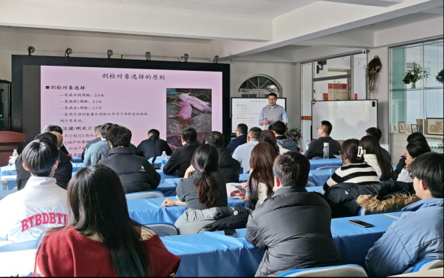 20260314177347653146906943.png 图片5.png